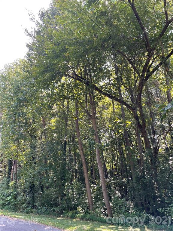 Property image 2 at 0 Wheaton Court, Salisbury, NC 28147