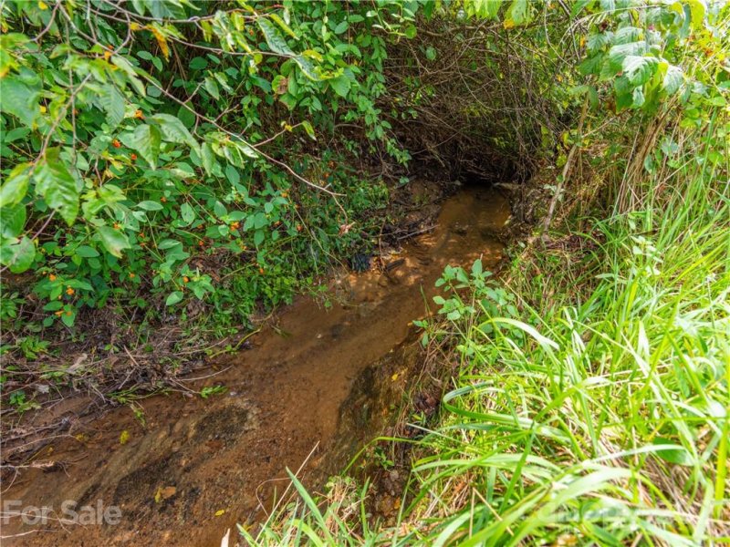 Property image 5 at Tbd Hemlock Springs Trail, Weaverville, NC 28787
