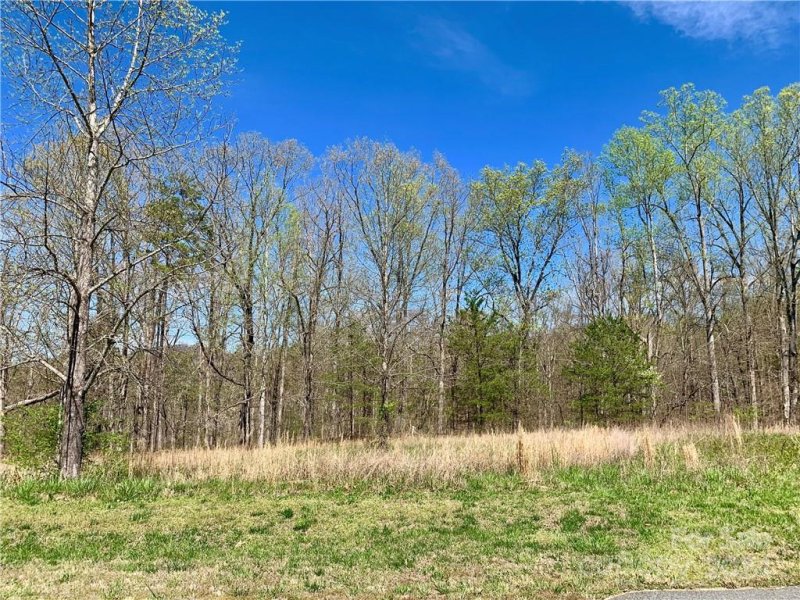 Property image 4 at 1 8 Acres Lot 28 Summer View, Rutherfordton, NC 28139