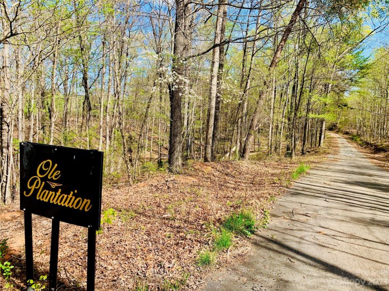 2 2 Acres Lot 36 Shady Bark Lane