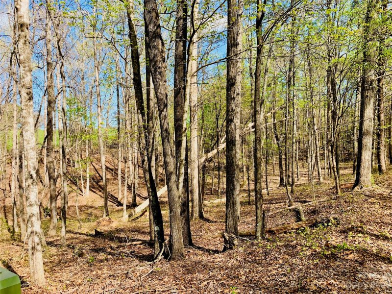 Property image 4 at 2 2 Acres Lot 36 Shady Bark Lane, Rutherfordton, NC 28139