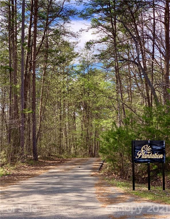 Property image 4 at 3 17 Acres Lot 39 Shady Bark Lane, Rutherfordton, NC 28139