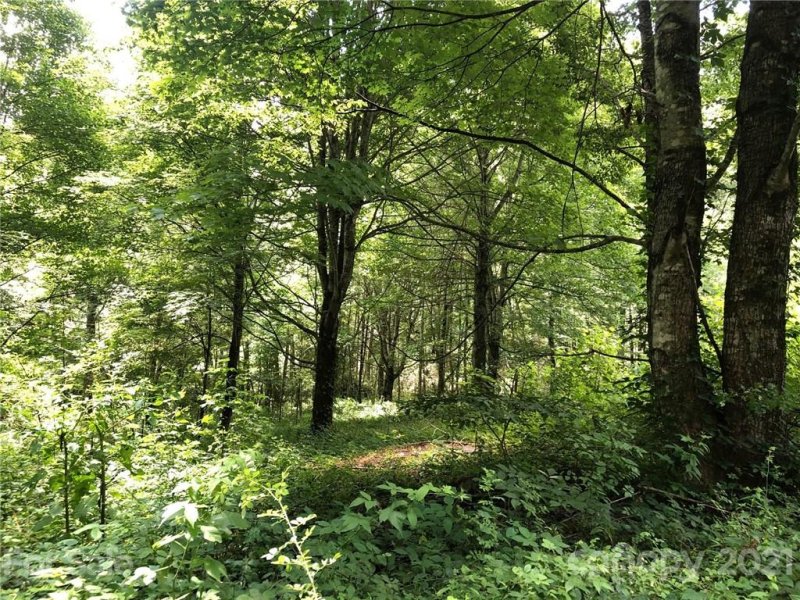 Property image 2 at Lot 24 Buckeye Branch Drive, Clyde, NC 28721