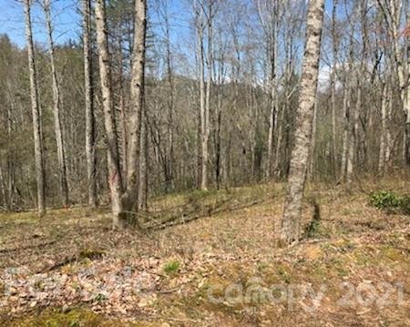 Property image 3 at Lot 24 Buckeye Branch Drive, Clyde, NC 28721