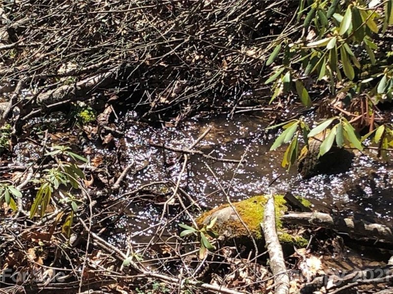 Property image 4 at Lot 24 Buckeye Branch Drive, Clyde, NC 28721