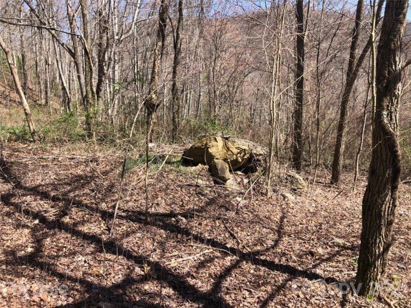 Property image 5 at Lot 24 Buckeye Branch Drive, Clyde, NC 28721