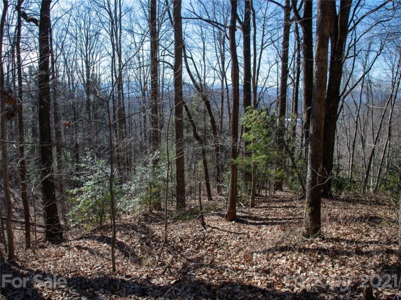 Property image 4 at 67 Giffords Lane, Asheville, NC 28803