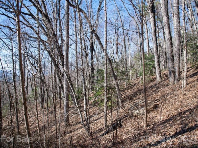 Property image 5 at 67 Giffords Lane, Asheville, NC 28803