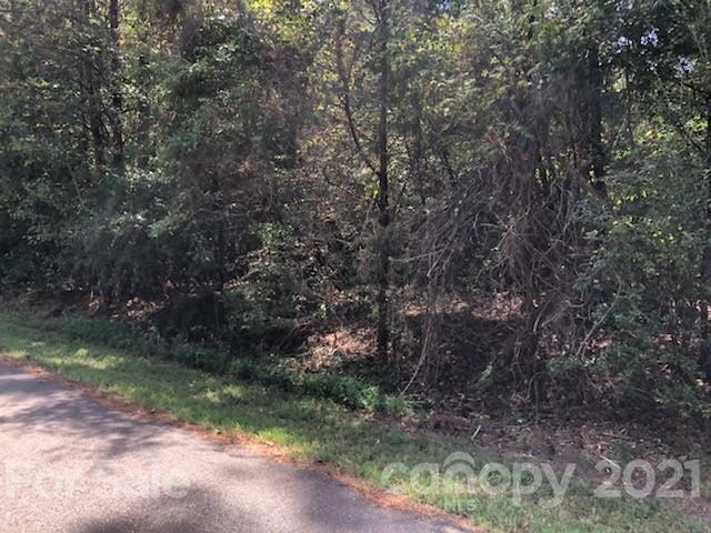 Property image 3 at 1637 Litchfield Road, Rock Hill, SC 29732
