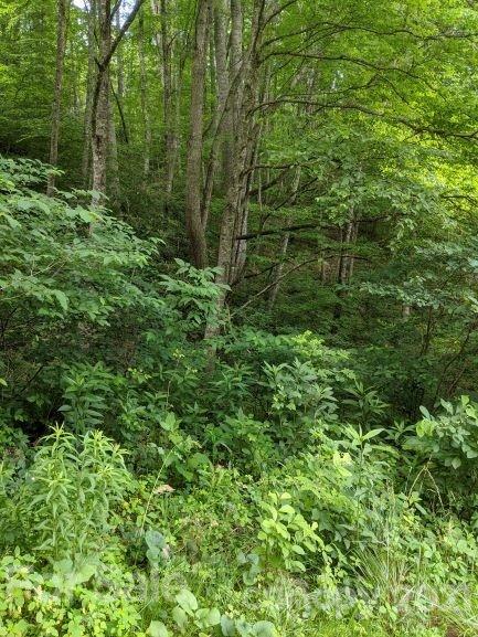 Property image 5 at S Valley View Drive, Mars Hill, NC 28754