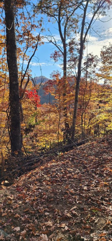 Property image 2 at Lot 19b Lono Lane, Waynesville, NC 28785