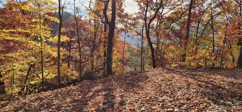 Property image 3 at Lot 19b Lono Lane, Waynesville, NC 28785