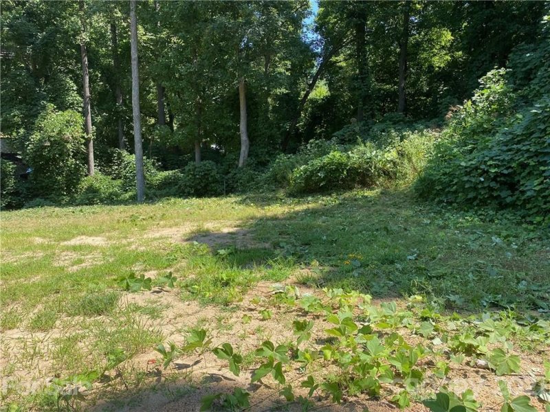 Property image 2 at 305 Glenn Bridge Road, Arden, NC 28704