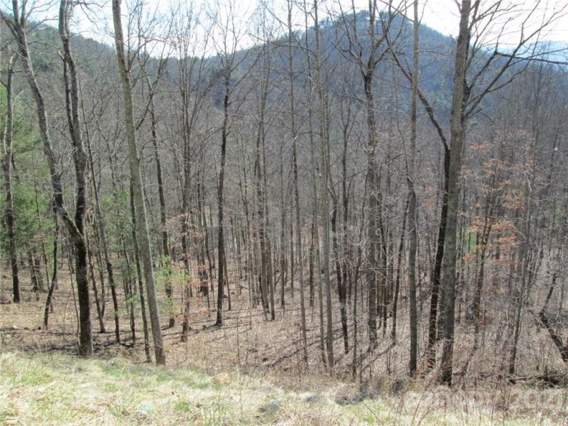 Property image 5 at 81 And 91 Starling Pass, Asheville, NC 28804