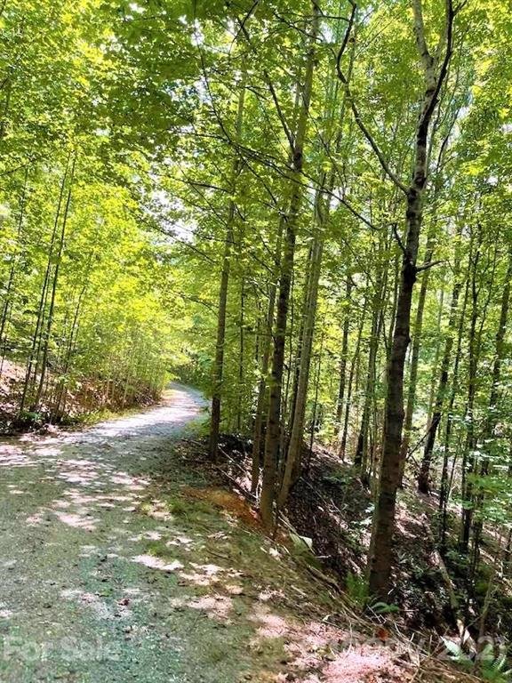 Property image 5 at 0 N Highland Farms Road, Mill Spring, NC 28756