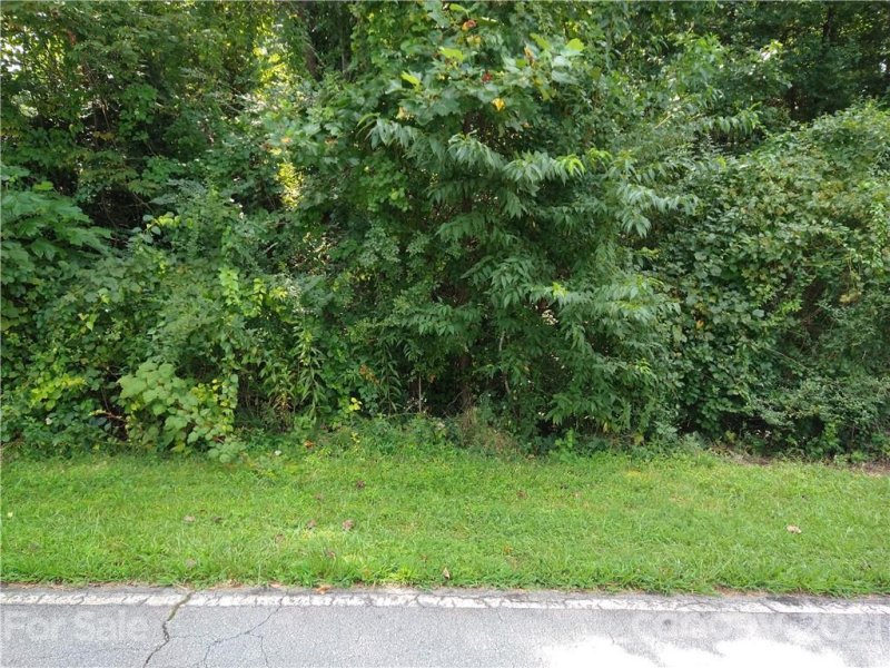 Property image 2 at 99999 Viewcrest Drive, Hendersonville, NC 28739