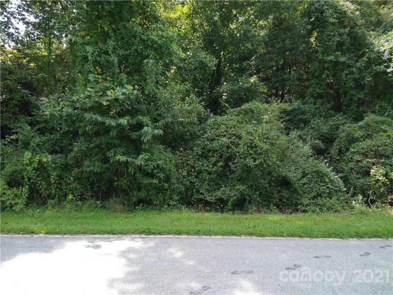 Property image 3 at 99999 Viewcrest Drive, Hendersonville, NC 28739