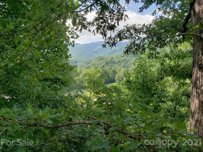 Property image 2 at 351 Mountain View Terrace, Whittier, NC 28789