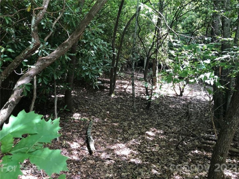 Property image 2 at Tbd School House Drive, Pisgah Forest, NC 28768