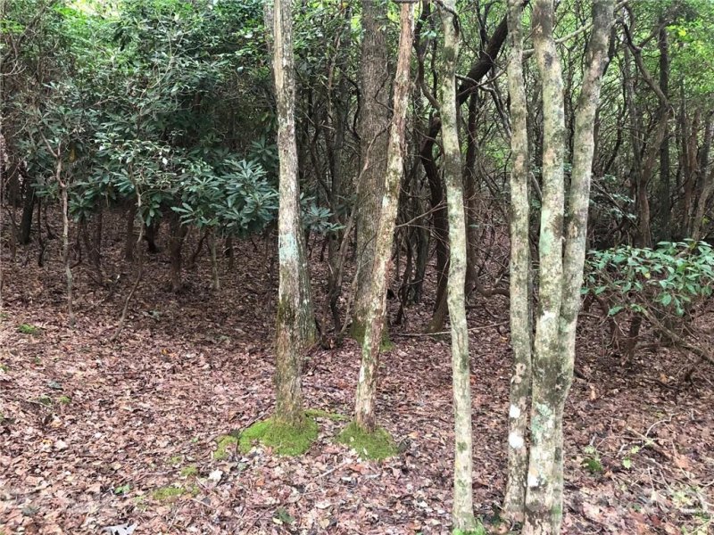 Property image 3 at Tbd School House Drive, Pisgah Forest, NC 28768