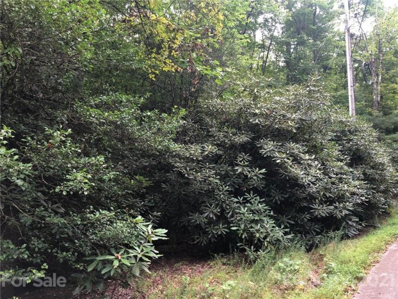 Property image 4 at Tbd School House Drive, Pisgah Forest, NC 28768