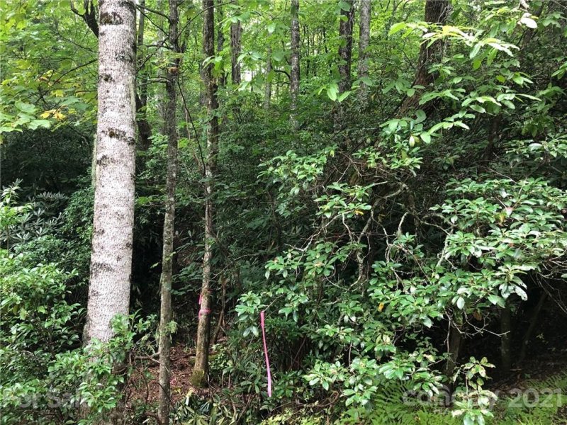 Property image 5 at Tbd School House Drive, Pisgah Forest, NC 28768