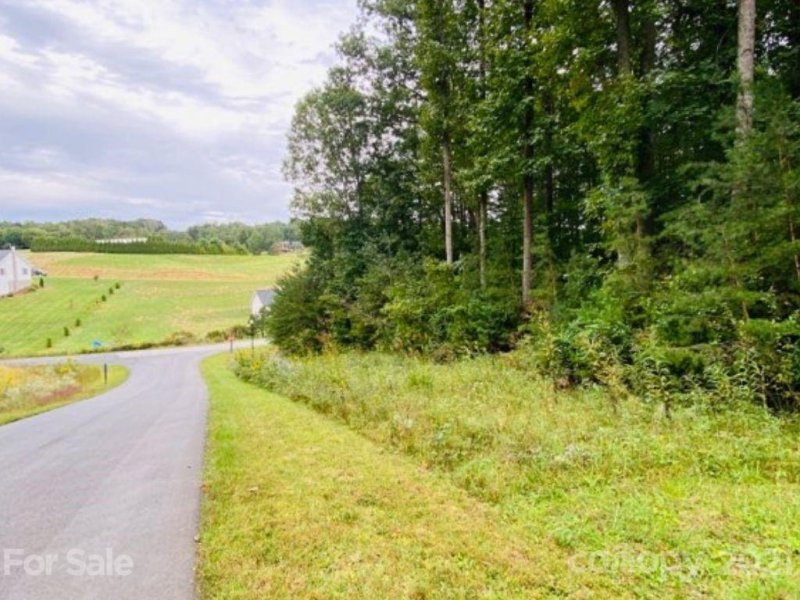 Property image 2 at 122 Israel Road, Leicester, NC 28748