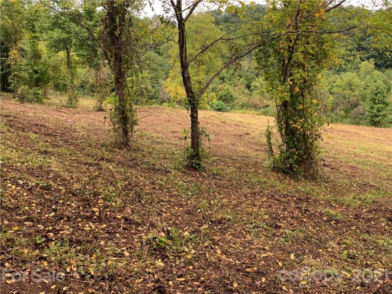 Property image 3 at 11 Farm Cove Lane, Leicester, NC 28748