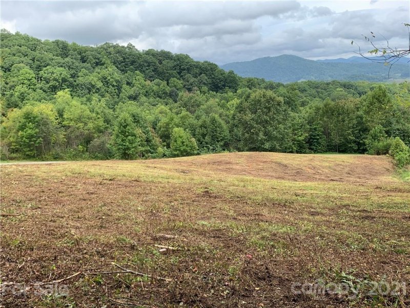 Property image 4 at 11 Farm Cove Lane, Leicester, NC 28748