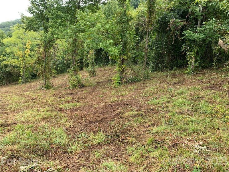 Property image 5 at 11 Farm Cove Lane, Leicester, NC 28748