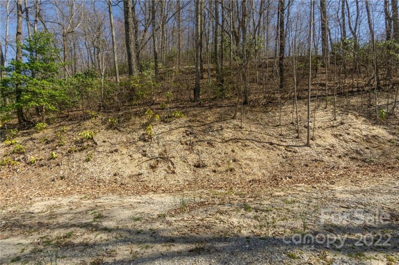 Property image 4 at 99999 Wolf Pen Road, Old Fort, NC 28762