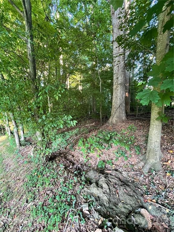 Property image 3 at 321 S Toria Drive, Statesville, NC 28625