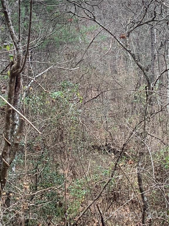 Property image 2 at 0000 Valley Drive, Lenoir, NC 28645