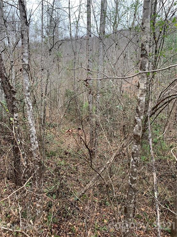 Property image 4 at 0000 Valley Drive, Lenoir, NC 28645