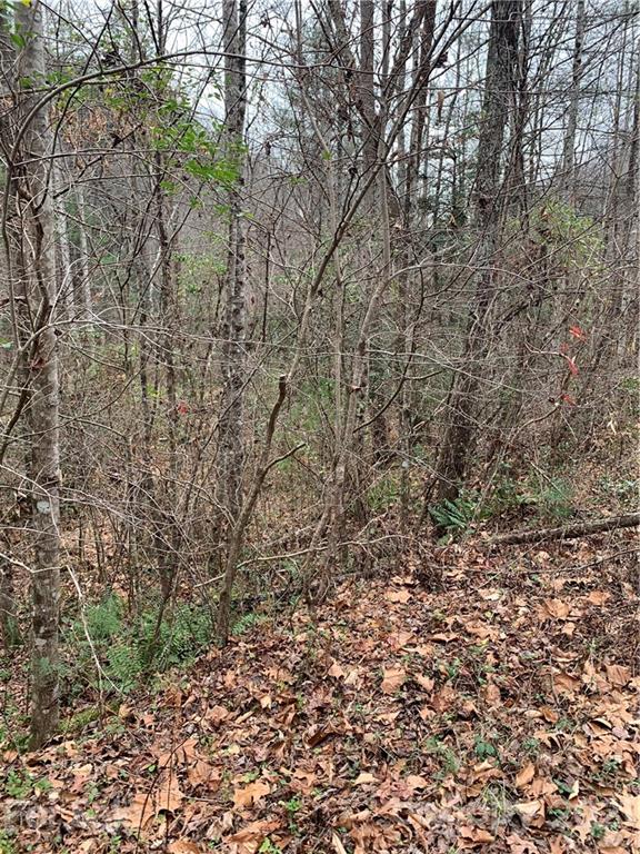 Property image 5 at 0000 Valley Drive, Lenoir, NC 28645