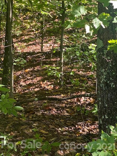 Property image 2 at V L Pleasant Ridge Drive, Nebo, NC 28761