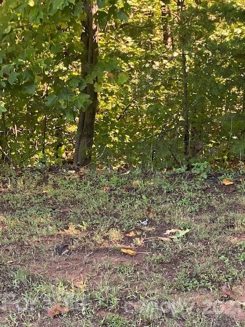 Property image 3 at V L Pleasant Ridge Drive, Nebo, NC 28761