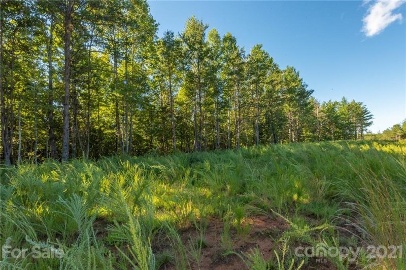 Property image 4 at 1231 Saylor Way, Nebo, NC 28761