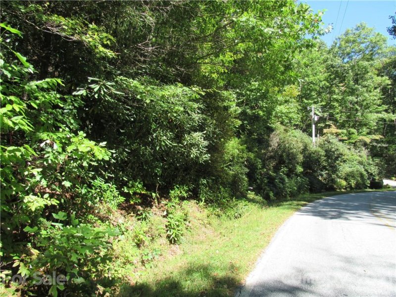 Property image 5 at Tbd Indian Lake Road, Lake Toxaway, NC 28747