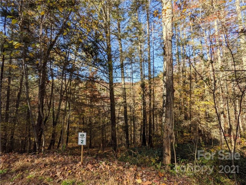 Property image 2 at 52 Bear Paw Trail, Marshall, NC 28753