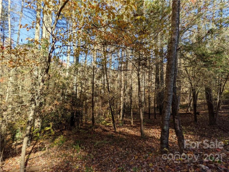 Property image 4 at 52 Bear Paw Trail, Marshall, NC 28753