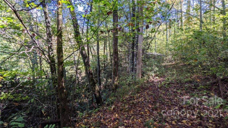 Property image 5 at 52 Bear Paw Trail, Marshall, NC 28753