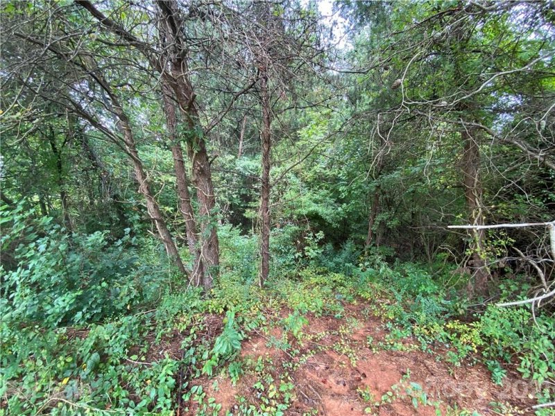 Property image 4 at Lot 21 Spike Lane, Vale, NC 28168