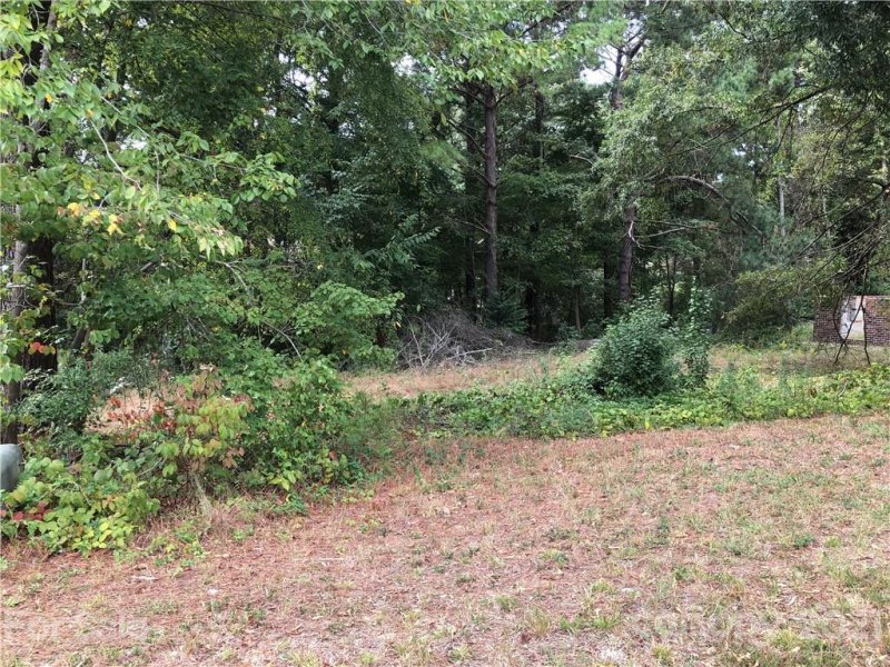 Property image 3 at 141 Ole East Pointe Drive, York, SC 29745