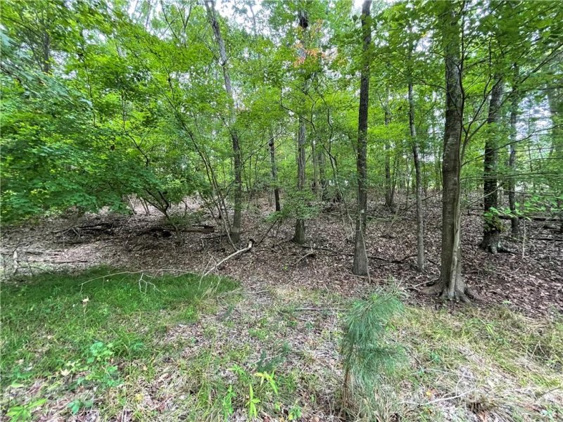 Property image 3 at 2063 Chameleon Road, York, SC 29745