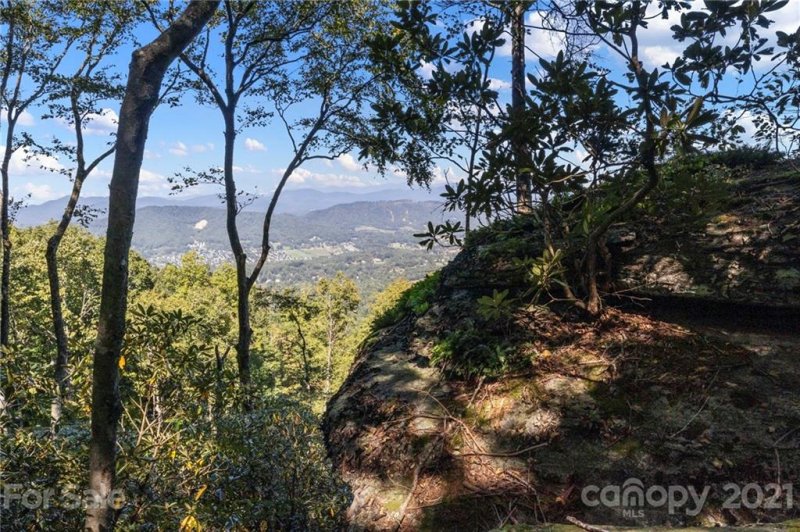 Property image 5 at 2 Laurel Ledge Way, Fletcher, NC 28732