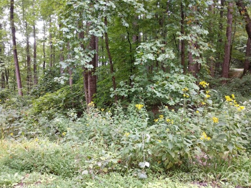 Property image 3 at 00 Summit Road, Tryon, NC 28782