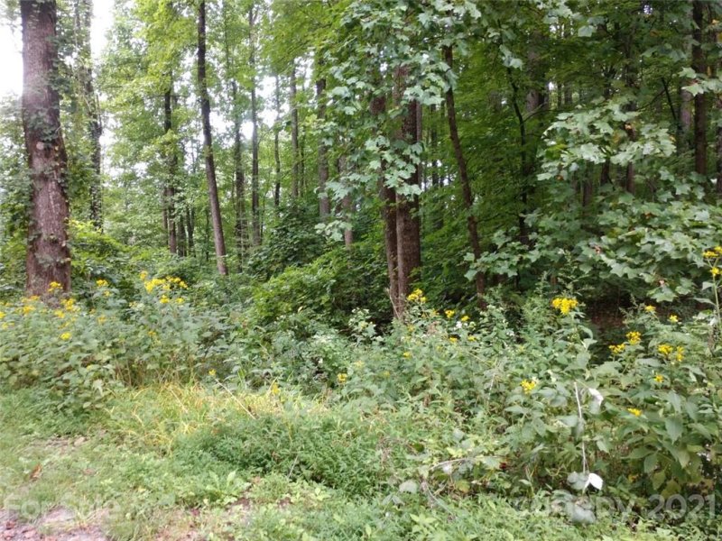 Property image 4 at 00 Summit Road, Tryon, NC 28782