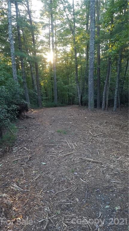 Property image 4 at 102 Lake Haven Drive, Marion, NC 28752