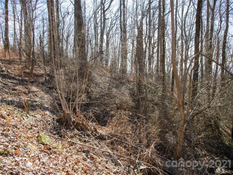 Property image 2 at 99999 Old Forest Drive, Asheville, NC 28803